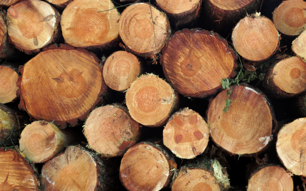 Bois de chauffage à Bédarieux